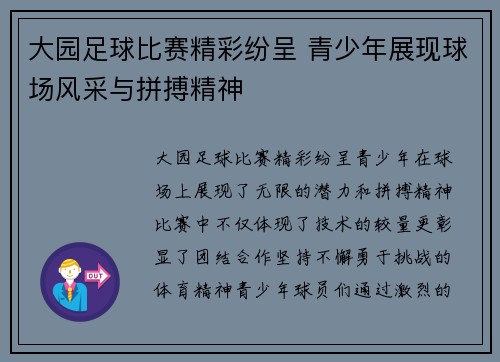 大园足球比赛精彩纷呈 青少年展现球场风采与拼搏精神