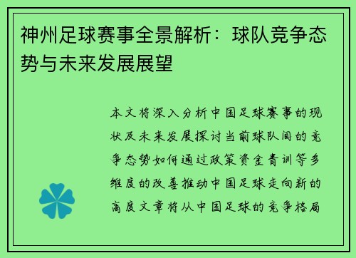 神州足球赛事全景解析：球队竞争态势与未来发展展望